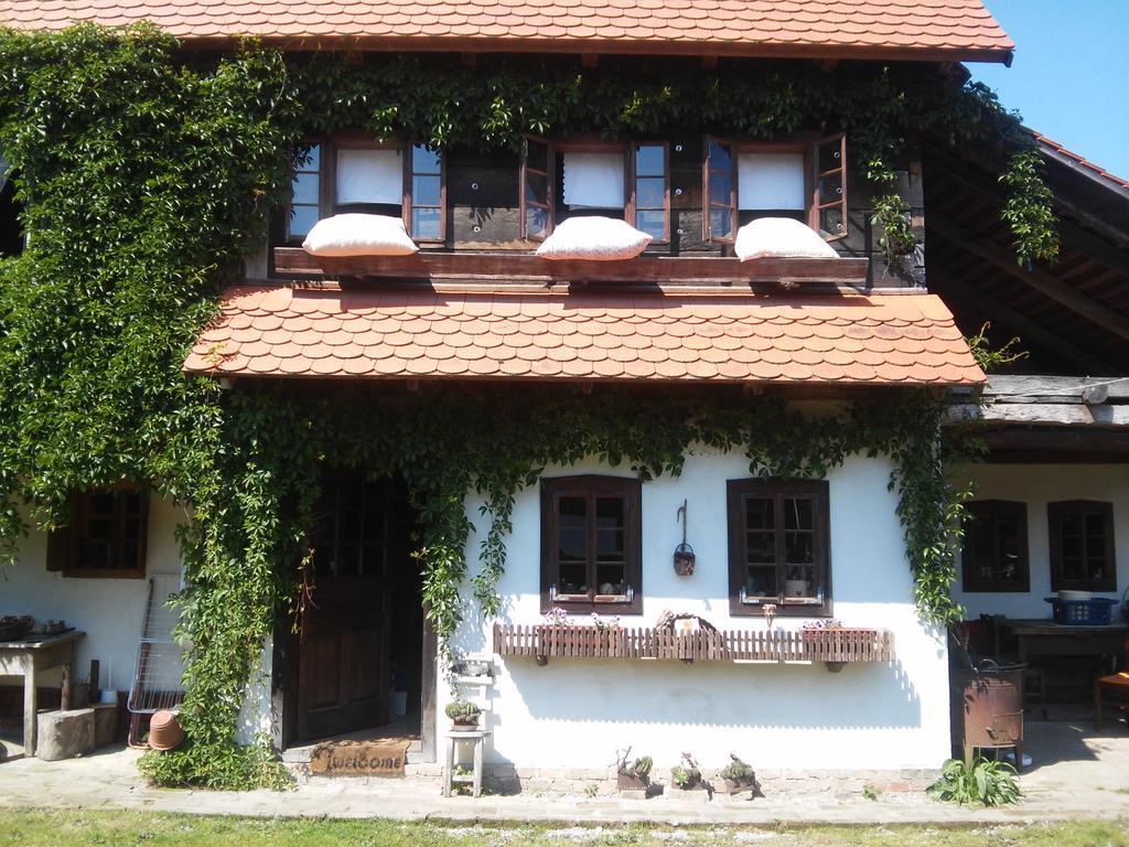 Rural Tourism Family Ravlic Guest House Muzilovcica Eksteriør bilde